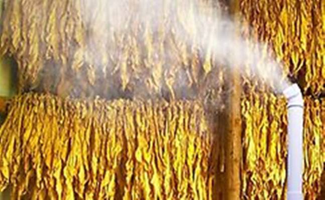 1635218899129878.jpg 烟草回潮1.jpg